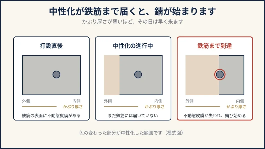 八王子でコンクリートの中性化が鉄筋に届くと錆が始まることを示した図解