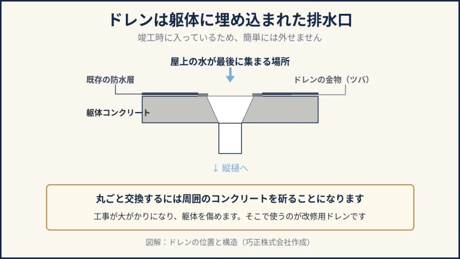 八王子の屋上ドレンの位置と構造を示した図解