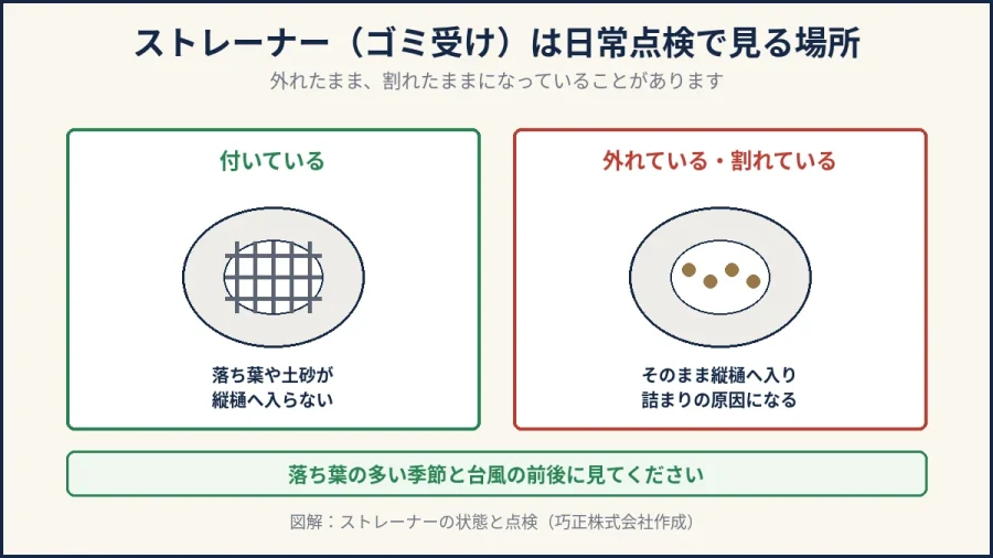 八王子の屋上ドレンのストレーナーの点検を示した図解