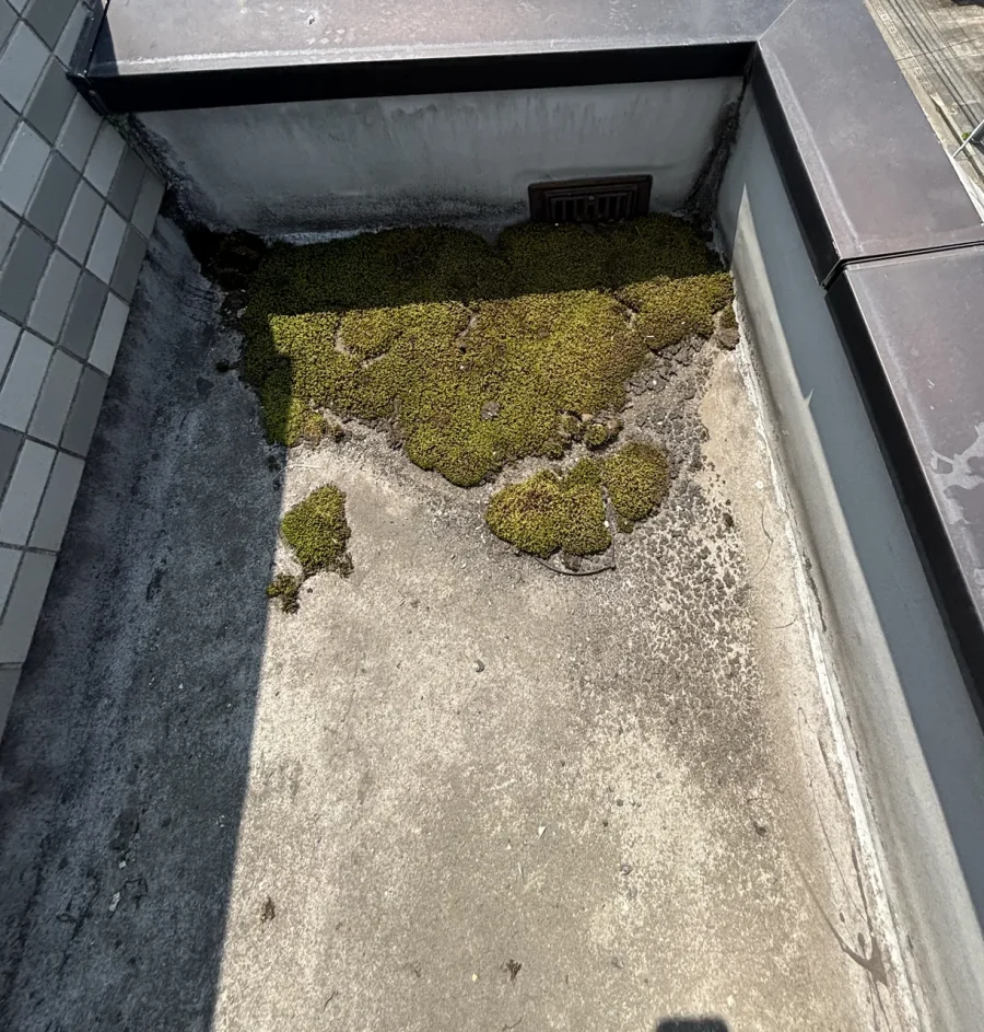 八王子 賃貸マンション屋上のパラペットとアルミ笠木(着工前)