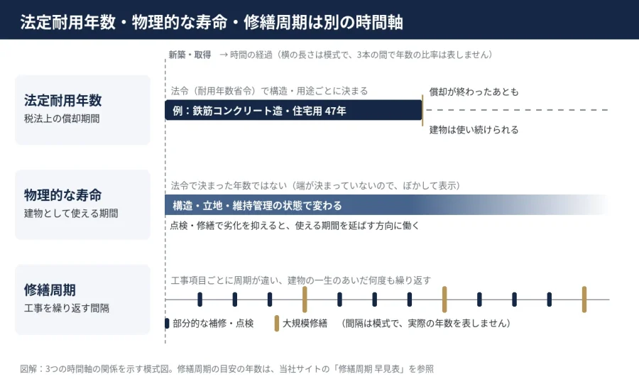 八王子 図解 法定耐用年数 物理的な寿命 修繕周期の3つの時間軸の違い