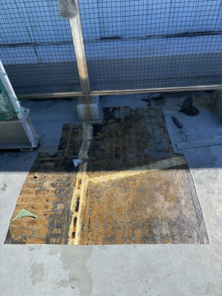 八王子市内のビル屋上 フェンス支柱の台座の脇で既存ウレタン防水を切開・撤去した範囲