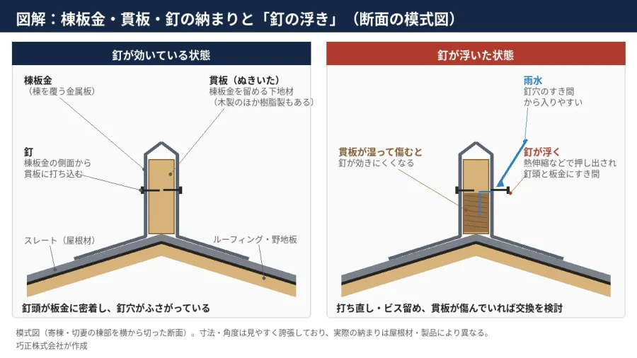 八王子 図解 棟板金と貫板と釘の断面 釘が浮いた状態と雨水の入り方