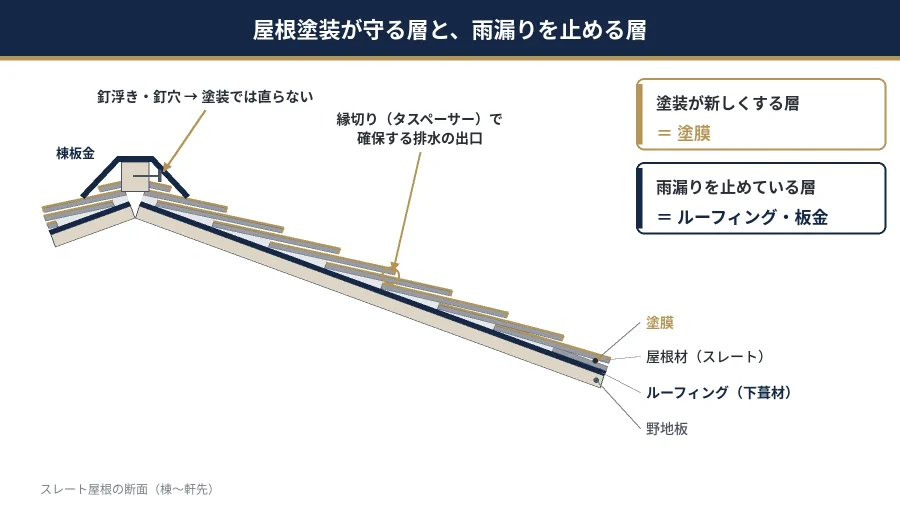 八王子の戸建てスレート屋根の断面 塗装が守る塗膜と雨漏りを止めるルーフィングの図解