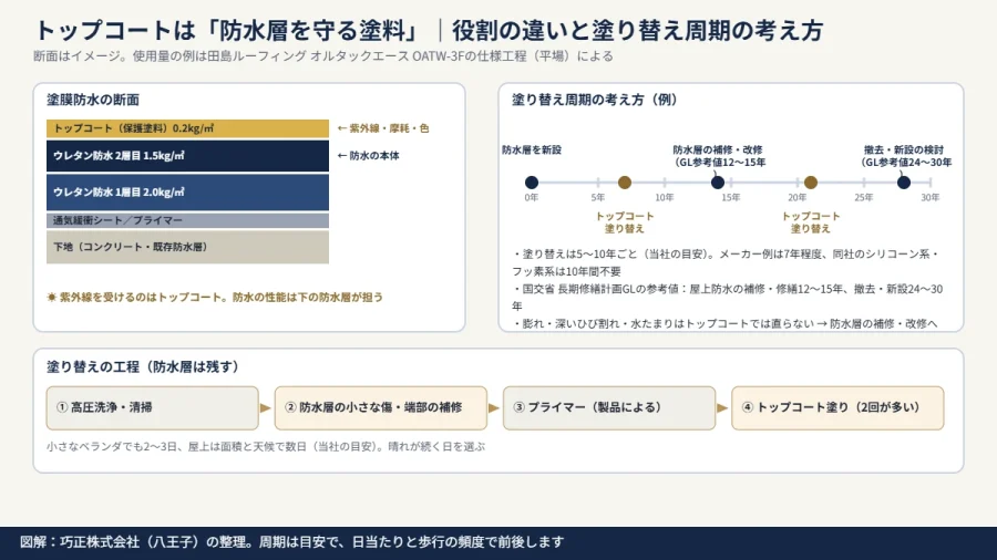 八王子の防水会社による図解｜塗膜防水の断面でトップコートと防水層の役割の違いを示し、トップコート塗り替えと防水層改修の周期を時間軸で整理した図